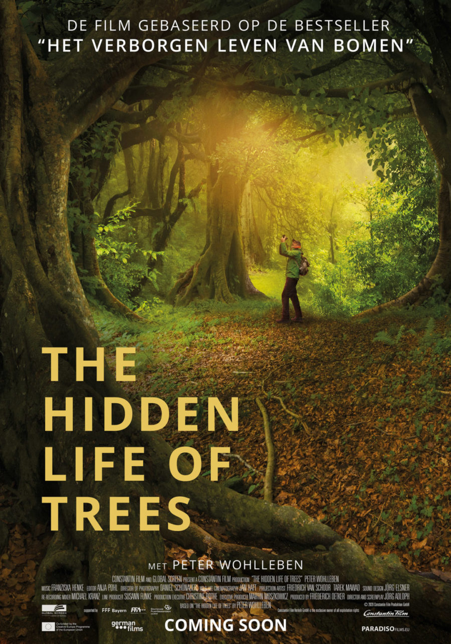 The-Hidden-Life-of-Trees_ps_1_jpg_sd-high_Copyright-Constantin-Film-Verleih-GmbH.jpg