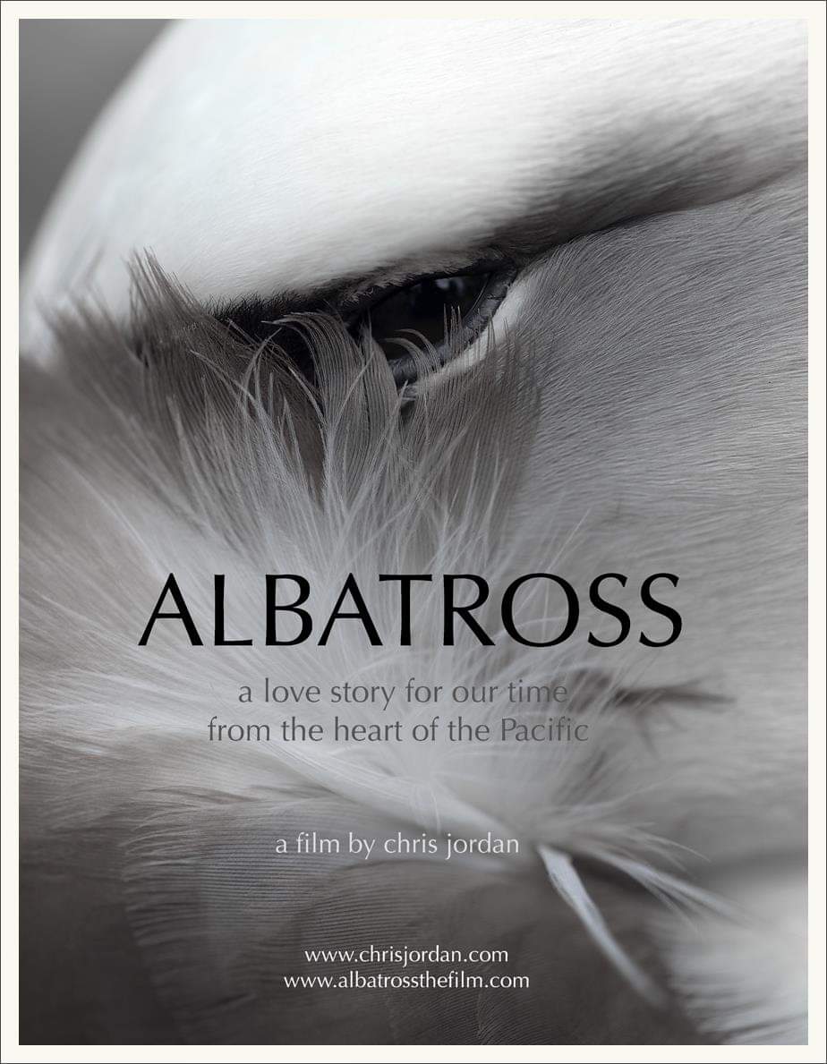 albatross poster