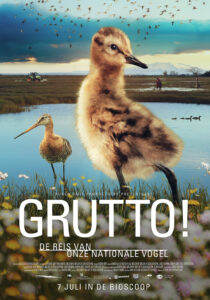 Grutto!