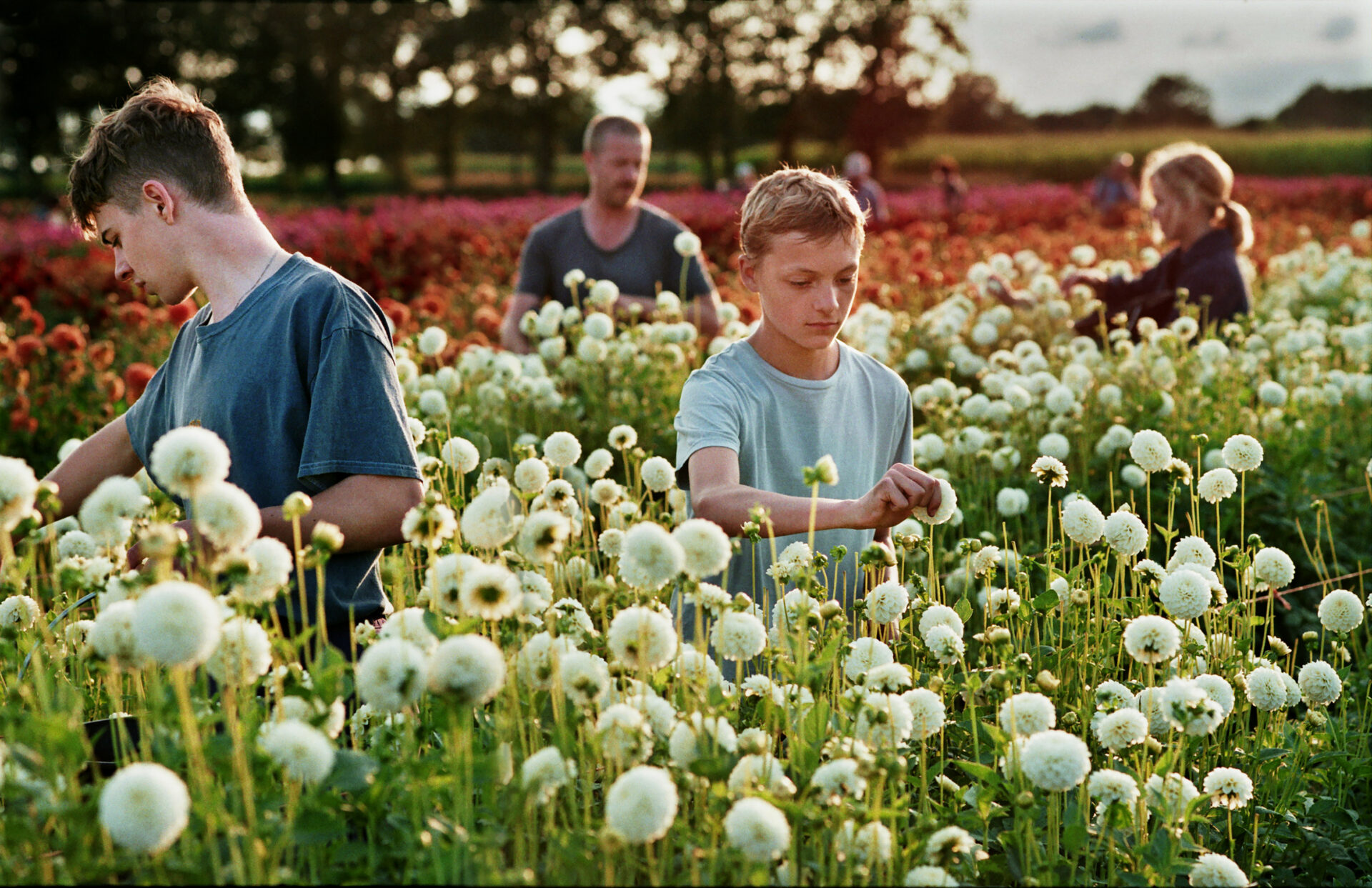 Hoe Lees Ik Een Film Hoe lees ik een film? - Ketelhuis