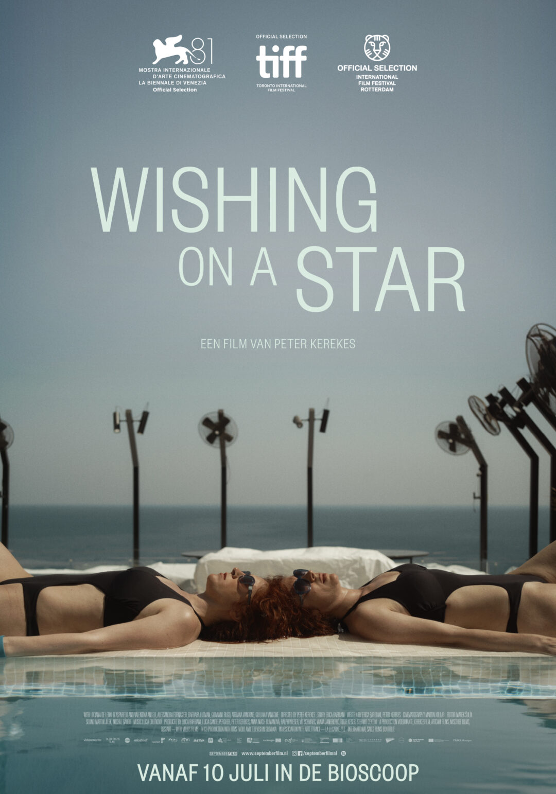Wishing-on-a-Star_ps_1_jpg_sd-high.jpg