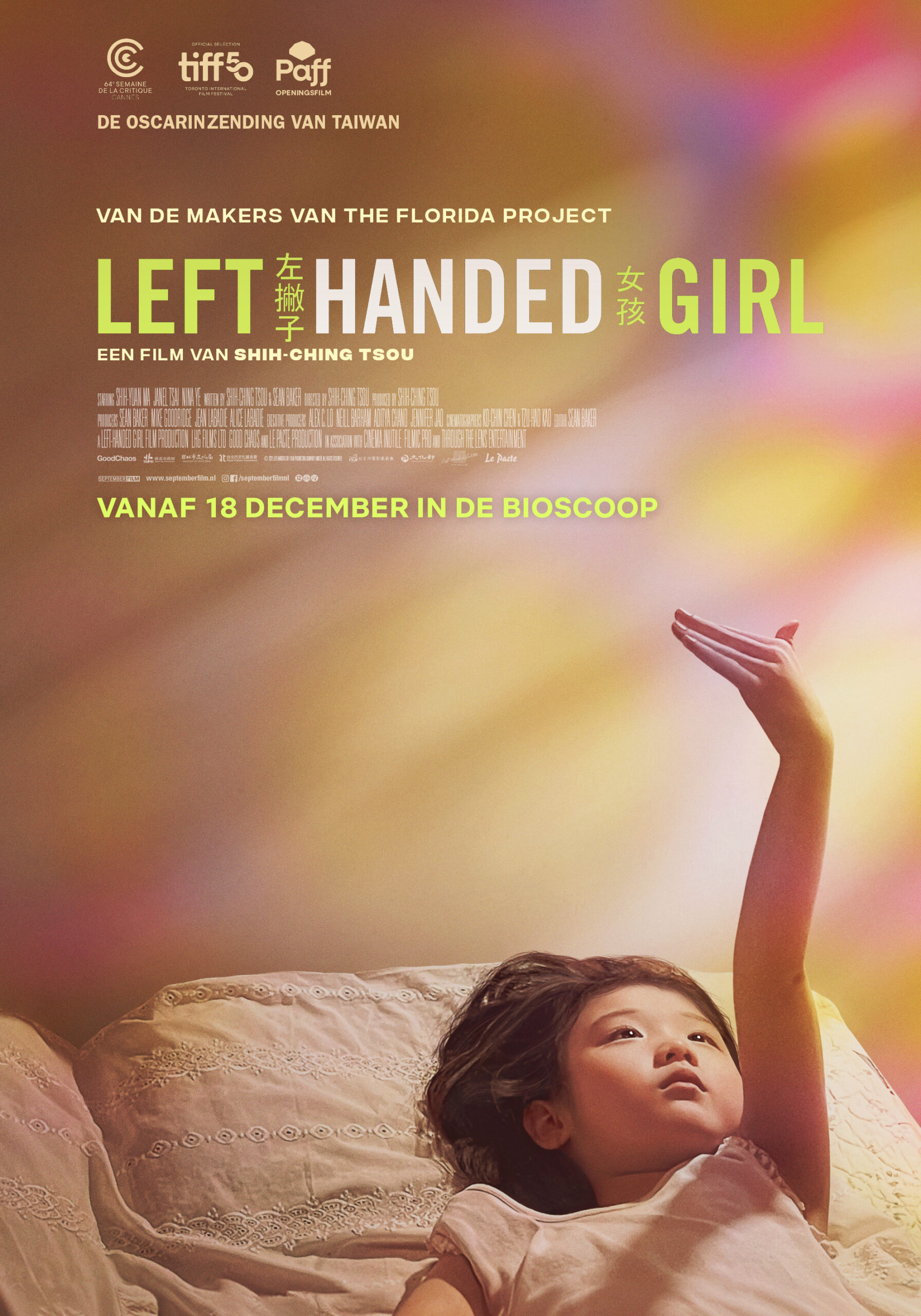Left_Handed_Girl_poster_DEF