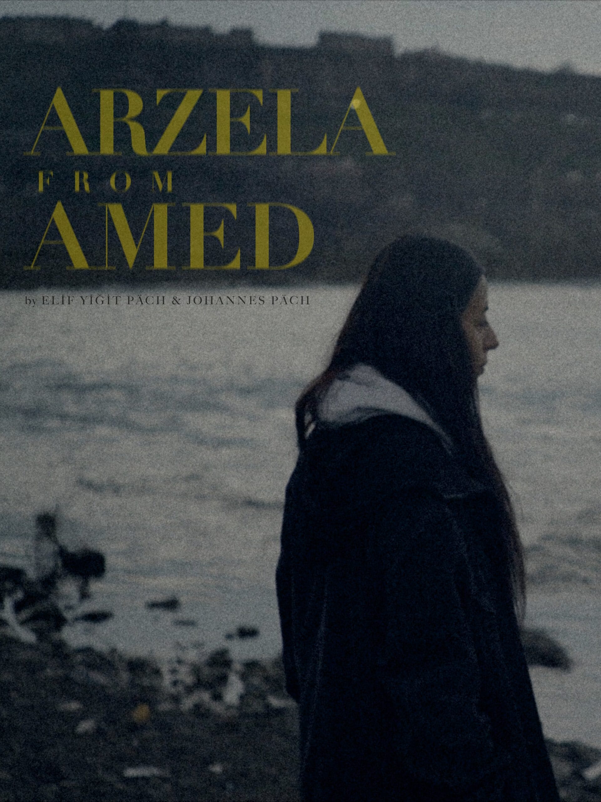 Arzela-From-Amed_poster